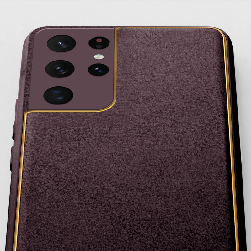 Electroplated Frame Leather Back Cover for Samsung S21 Ultra - Image 15